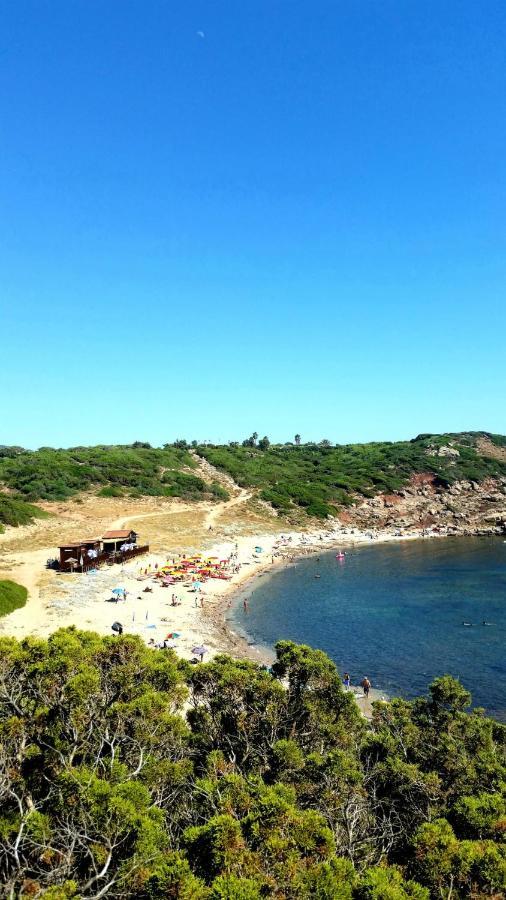 Agriturismo Porticciolo Porto Conte Dış mekan fotoğraf